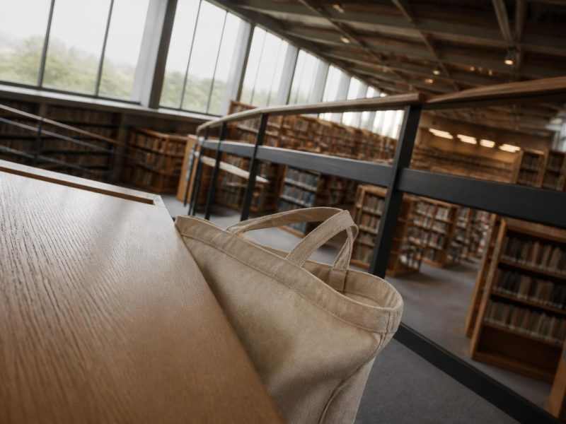 Maximizing Online Learning: Practical Strategies for Successful Education in a Digital Era